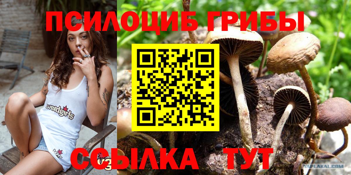 Шелехов  Псилоцибиновые грибы GOLDEN TEACHER  наркотики  Галлюциногенные грибы ЛСД  Вход с VPN 