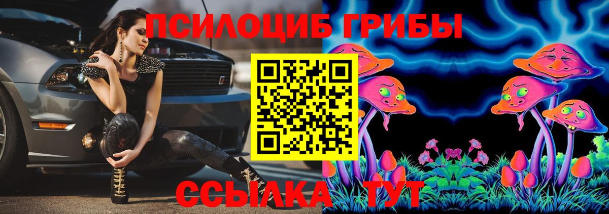 Галлюциногенные грибы ЛСД Шелехов