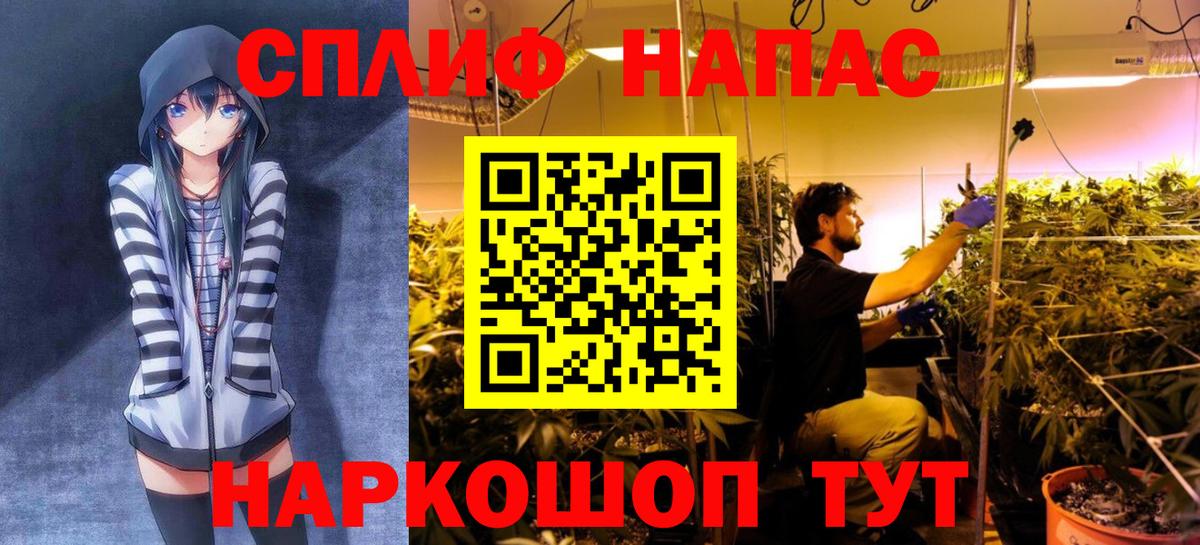 Бошки Шишки план  Каннабис ГИДРОПОН  Вход с VPN  Бошки Шишки THC 21%  Шелехов 